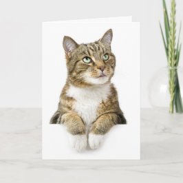 あなたの考えることは梳きます カード