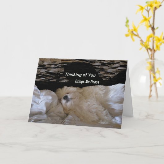 あなたの考えることは私に平和挨拶状を持って来ます カード (黄色い花)