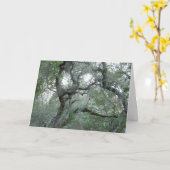 あなたの考えることカードによってもつれさせるオークの木 カード (黄色い花)