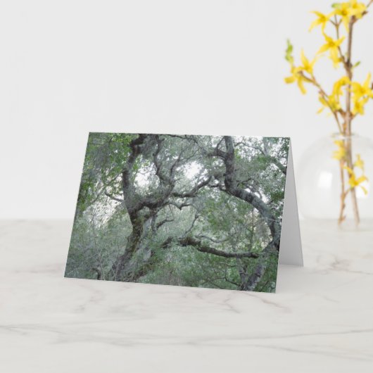 あなたの考えることカードによってもつれさせるオークの木 カード (黄色い花)
