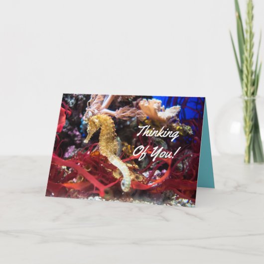 あなたの考えることタツノオトシゴ カード (正面)