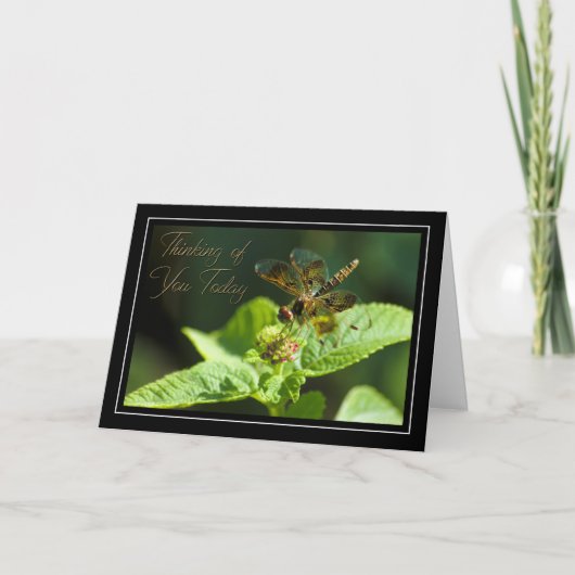 あなたの考えることトンボカード カード (正面)