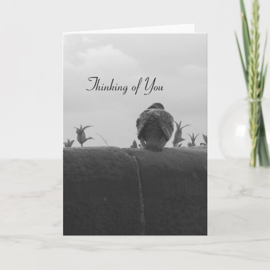 あなたの考えることハト カード (正面)