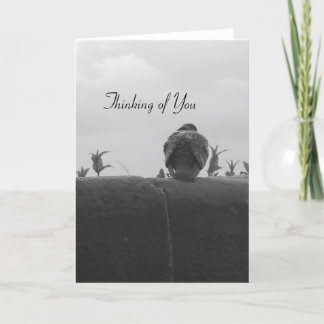 あなたの考えることハト カード