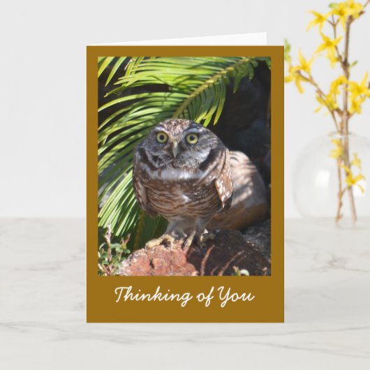 あなたの考えることフクロウが付いている挨拶状 カード (黄色い花)