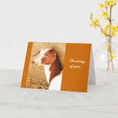 あなたの考えることヤギカード カード (黄色い花)