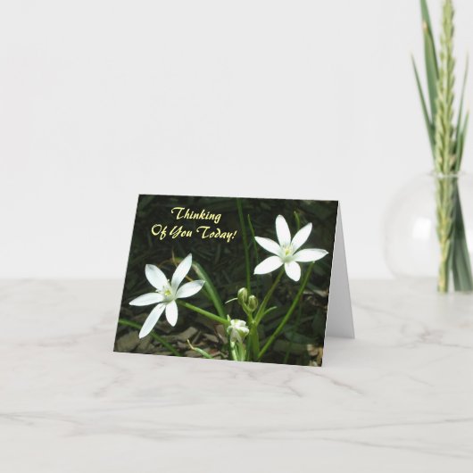 あなたの考えること今日! -中ブランク カード (正面)