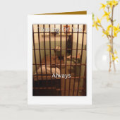 あなたの考えること常に カード (黄色い花)