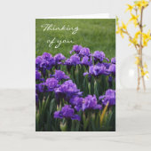 あなたの考えること挨拶状 カード (黄色い花)