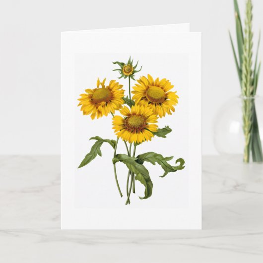 あなたの考えること挨拶状 カード (正面)