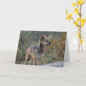 あなたの考えること挨拶状 カード (黄色い花)