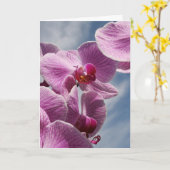 あなたの考えること挨拶状、美しい蘭 カード (黄色い花)