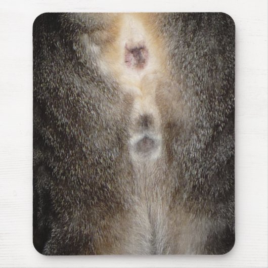 あなたの考えること猫のマウスパッド マウスパッド (正面)