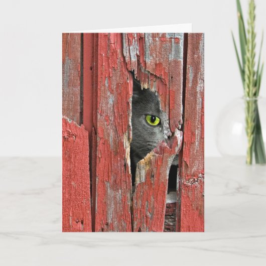 あなたの考えること猫 カード (正面)