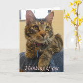 あなたの考えること137 カード (黄色い花)