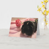 あなたの考えること(ぴりっとする) カード (黄色い花)