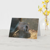 あなたの考えること カード (黄色い花)