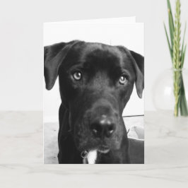 あなたの考えること カード