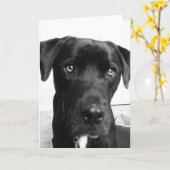 あなたの考えること カード (黄色い花)