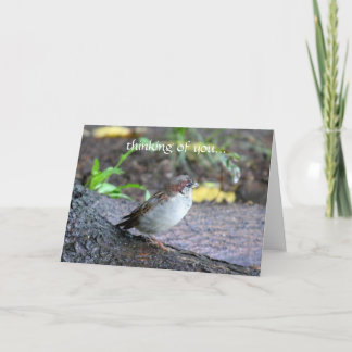 あなたの考えること… カード