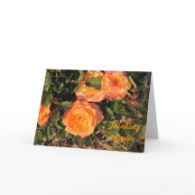 あなたの考えること: 珊瑚のバラ