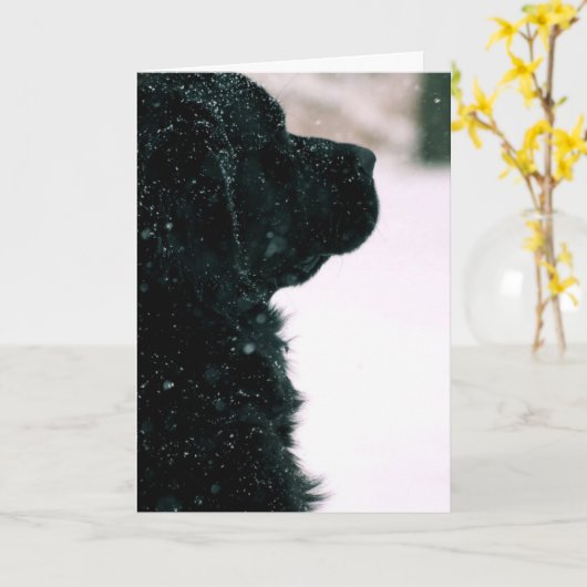 あなたの考えること~黒いニューファウンドランド カード (黄色い花)