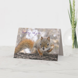 あなたの考えカード7 x 5インチのBickles氏 カード