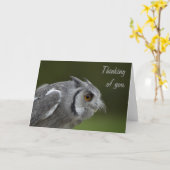 あなたの考えカード – ベビーグレイふくろう カード (黄色い花)