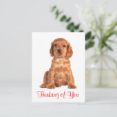 あなたの考えコッカースパニエル犬子犬はがき ポストカード (スタンド正面)