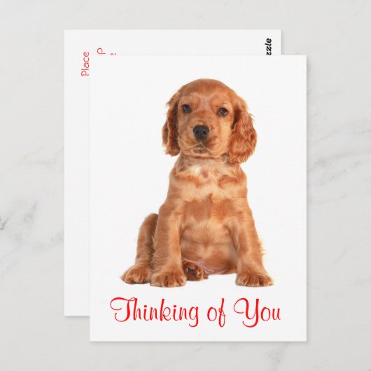 あなたの考えコッカースパニエル犬子犬はがき ポストカード (正面/裏面)
