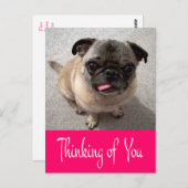 あなたの考えパグ犬のグリーティングポストカード ポストカード (正面/裏面)