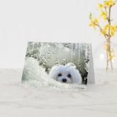 あなたの考えマルチーズ"考えることが"梳くSnowdrop カード (黄色い花)