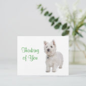 あなたの考え悩み犬のグリーティングハガキ ポストカード (スタンド正面)