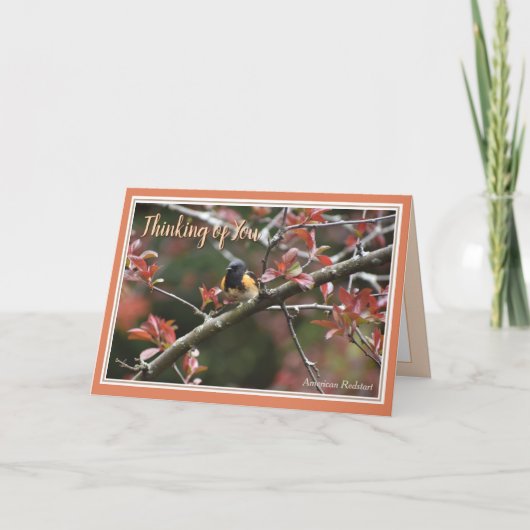 あなたの考え美しい鳥のグリーティングカード シーズンカード (正面)