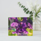 あなたの考え葉書の中に ポストカード (スタンド正面)