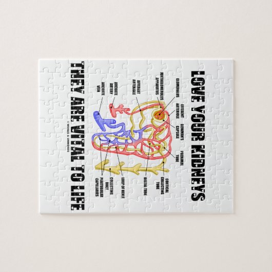 あなたの腎臓を愛する彼らは生命に不可欠である(ネフロン) ジグソーパズル (横)