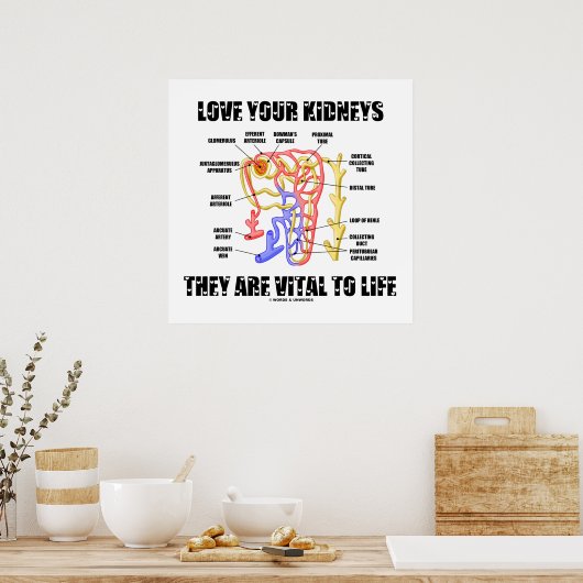 あなたの腎臓を愛する彼らは生命に不可欠である（ネフロン） ポスター (キッチン)