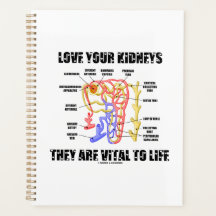 あなたの腎臓を愛する彼らは生活ネフロンに不可欠である