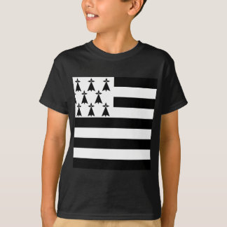 あなたの色を見せて - ブルターニュ Tシャツ