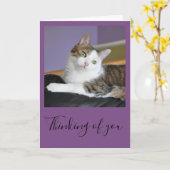 あなたの虎猫猫の考えることは梳きます カード (黄色い花)