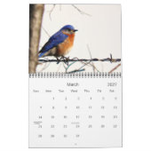 あなたの裏庭のカレンダー2013年のより多くの鳥 カレンダー (3月 2027)
