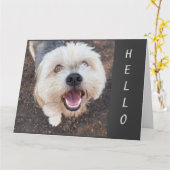 あなたの誕生日が「最高の」であることを望む カード (黄色い花)