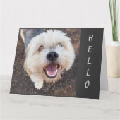 あなたの誕生日が「最高の」であることを望む カード (正面)