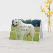 あなたの誕生日におおきな願い事を! カード (黄色い花)