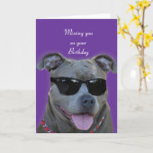あなたの誕生日の青のピットブルの恋しく思うこと カード (黄色い花)