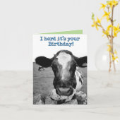 あなたの誕生日を待ち望んでいた – チーキー牛 カード (黄色い花)