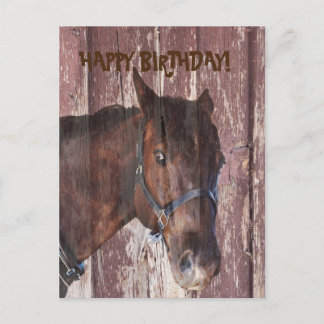 あなたの誕生日グリーティングカードを見て馬&納屋 ポストカード