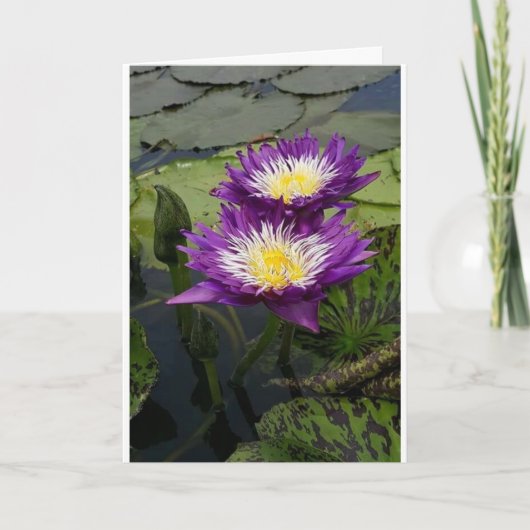 「あなたの誕生日」のカードの「美しい花」 カード (正面)