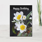 「あなたの誕生日」のカードの「美しい花」 カード (正面)