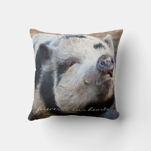 あなたの豚の写真悔やみや弔慰Oinkで私を持っていた クッション (裏面)